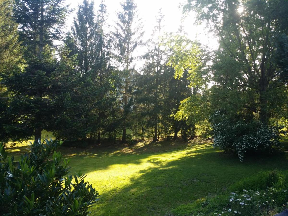 Schwarzwald - Villa Appartments Titisee ภายนอก รูปภาพ