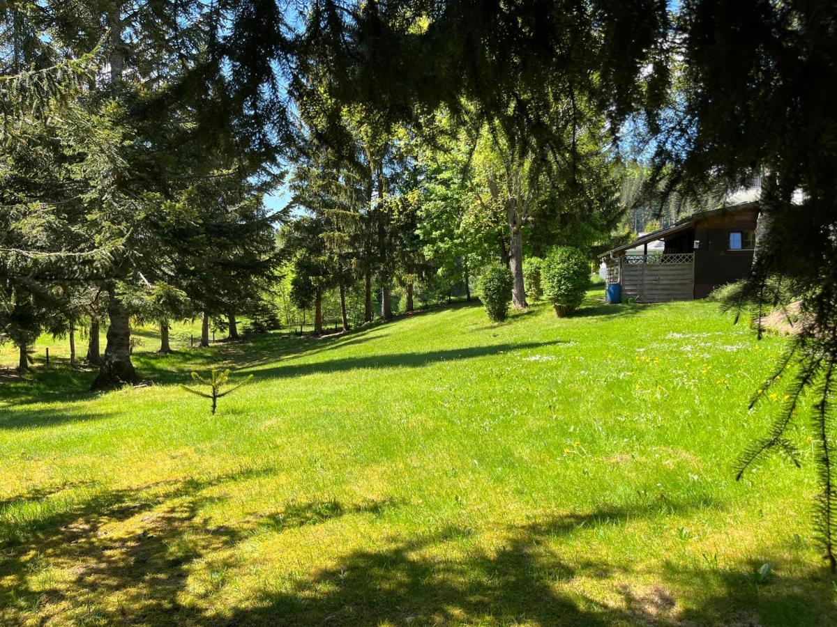 Schwarzwald - Villa Appartments Titisee ภายนอก รูปภาพ
