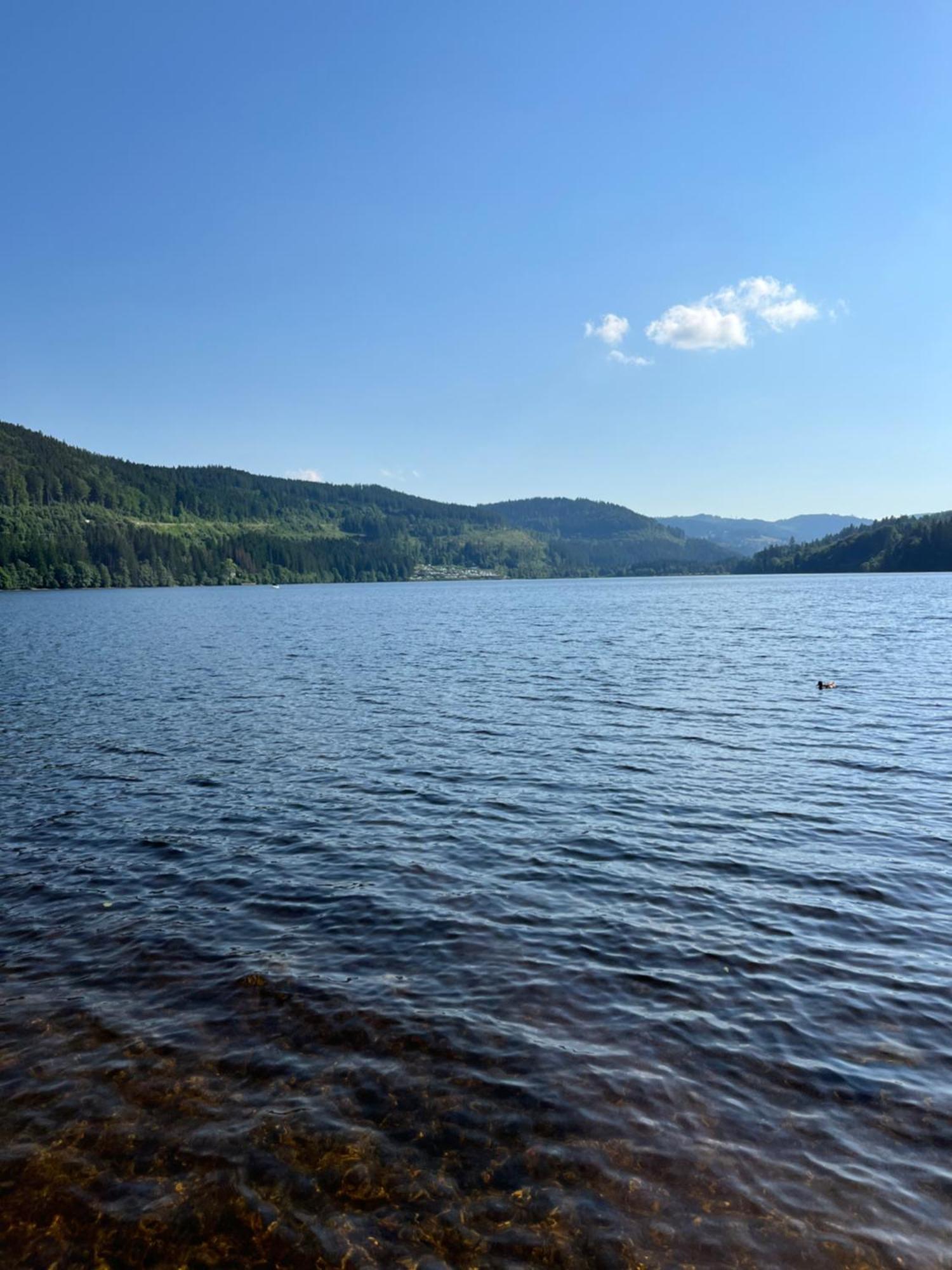 Schwarzwald - Villa Appartments Titisee ภายนอก รูปภาพ
