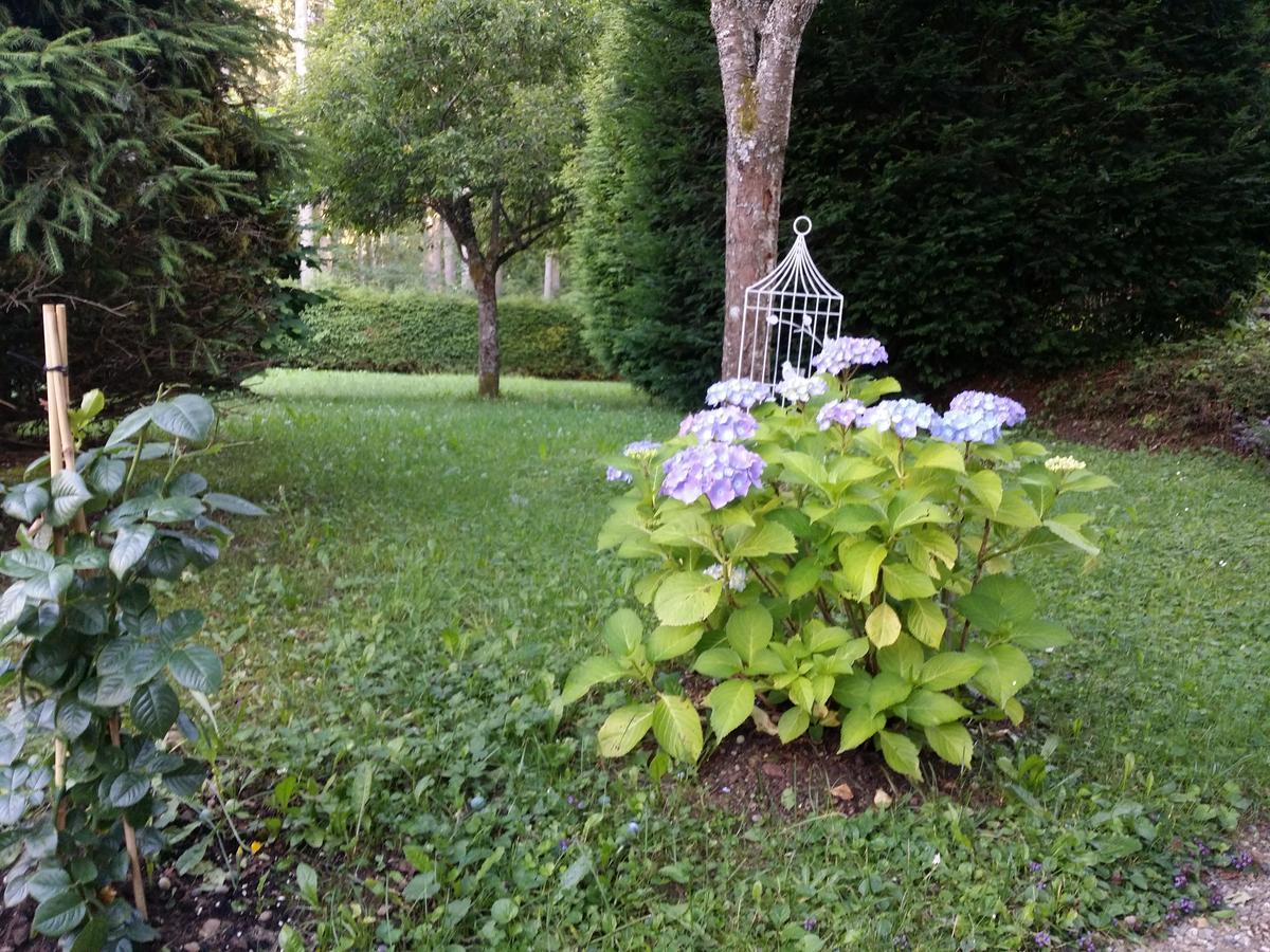 Schwarzwald - Villa Appartments Titisee ภายนอก รูปภาพ