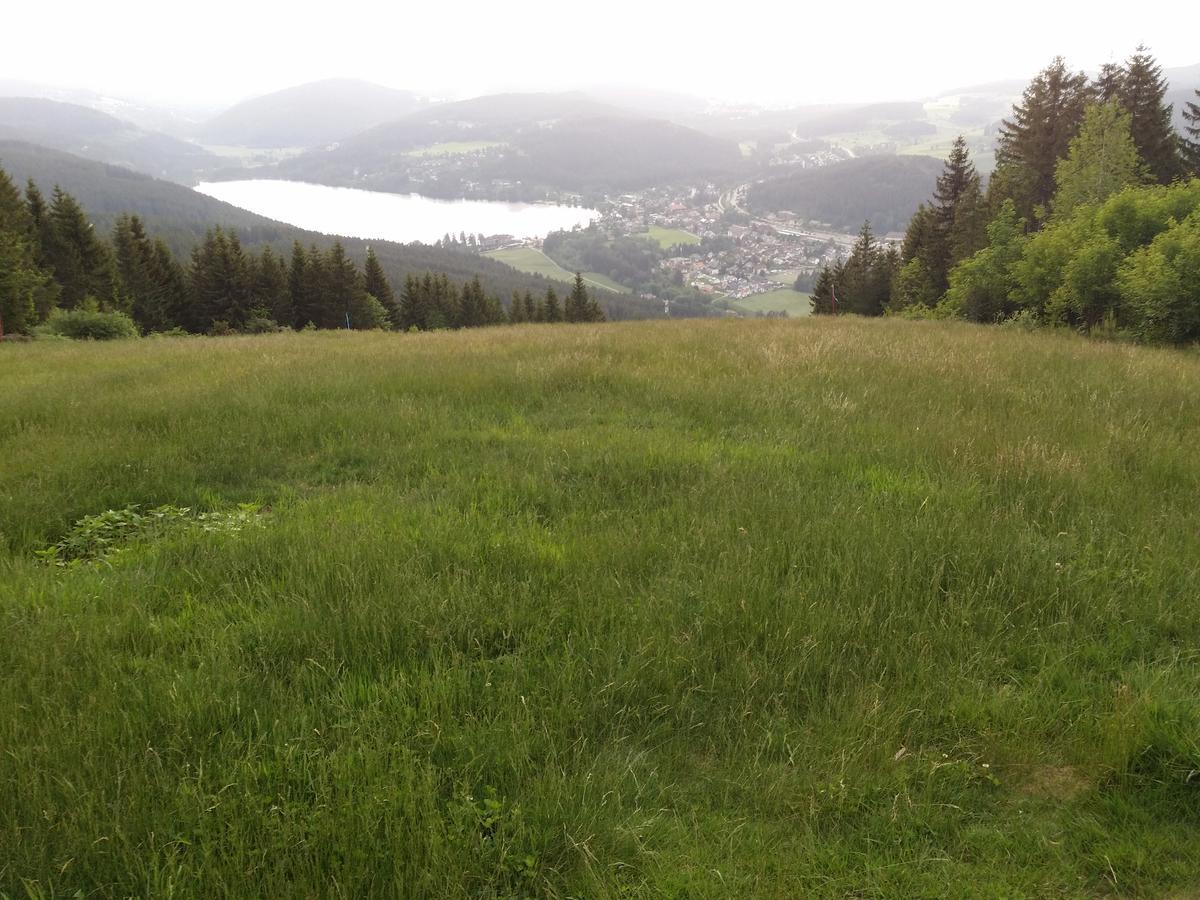 Schwarzwald - Villa Appartments Titisee ภายนอก รูปภาพ