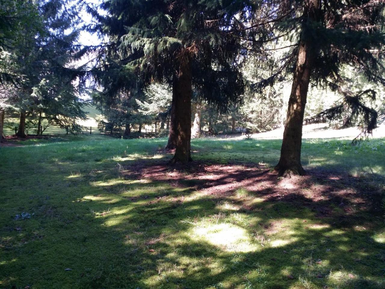 Schwarzwald - Villa Appartments Titisee ภายนอก รูปภาพ