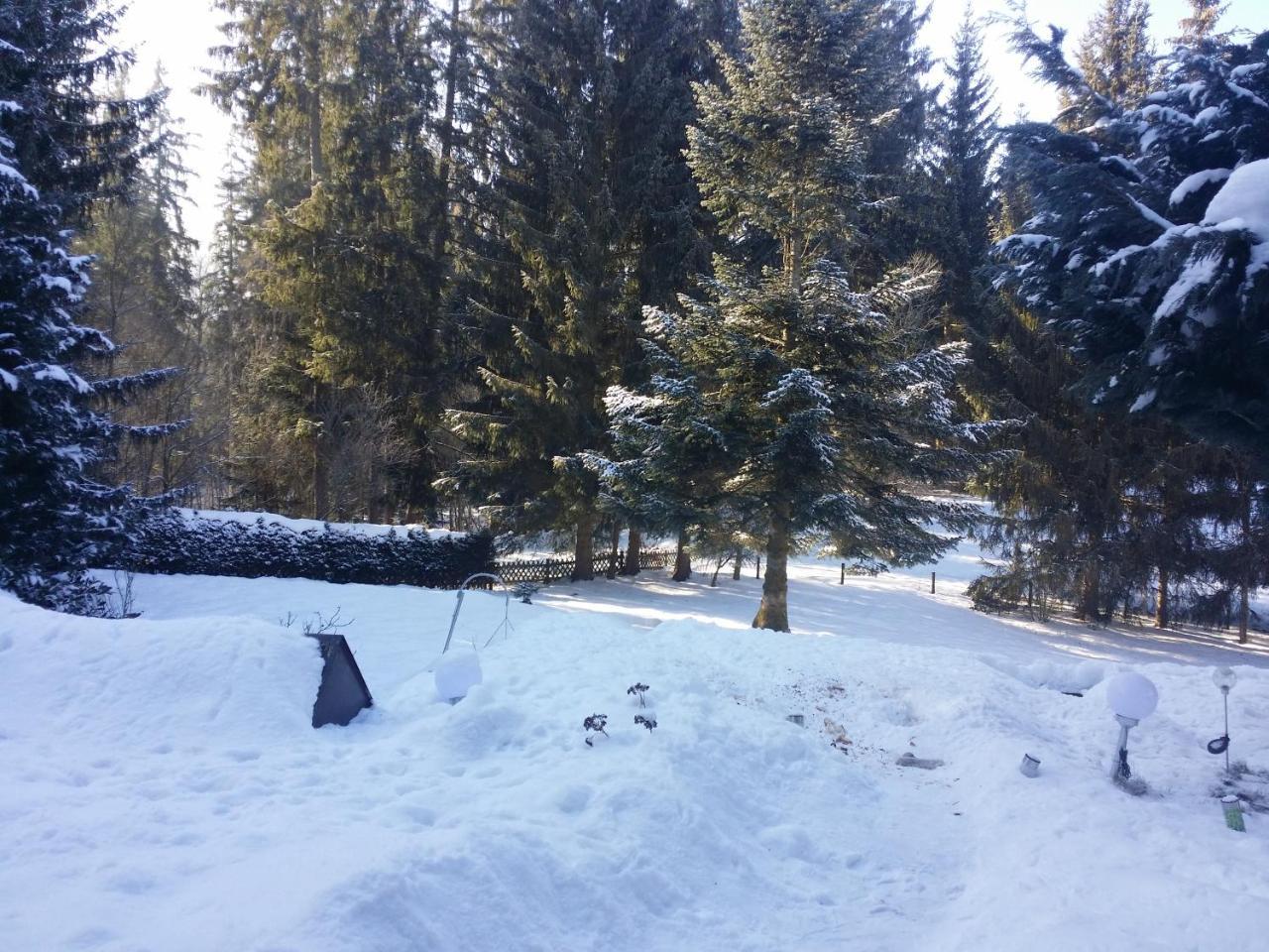 Schwarzwald - Villa Appartments Titisee ภายนอก รูปภาพ